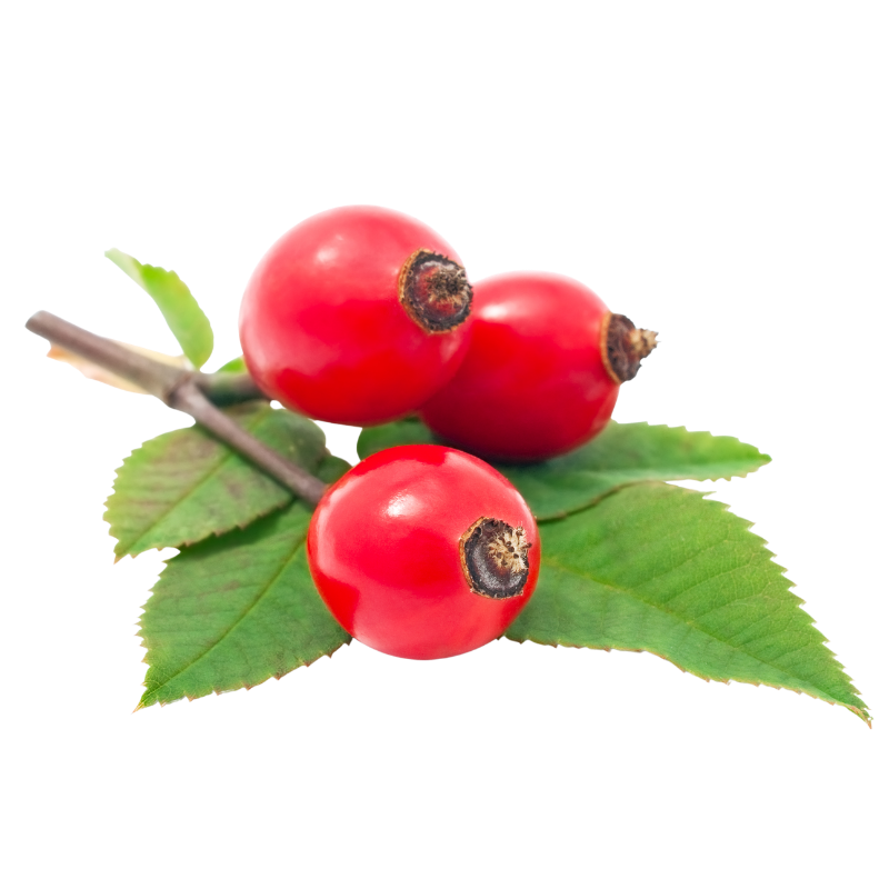 The Power of Rosehip Seed Oil: Benefits for Glowing, Healthy Skin
